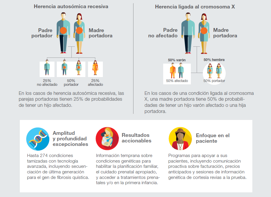 IMAGEN NOTICIA 2